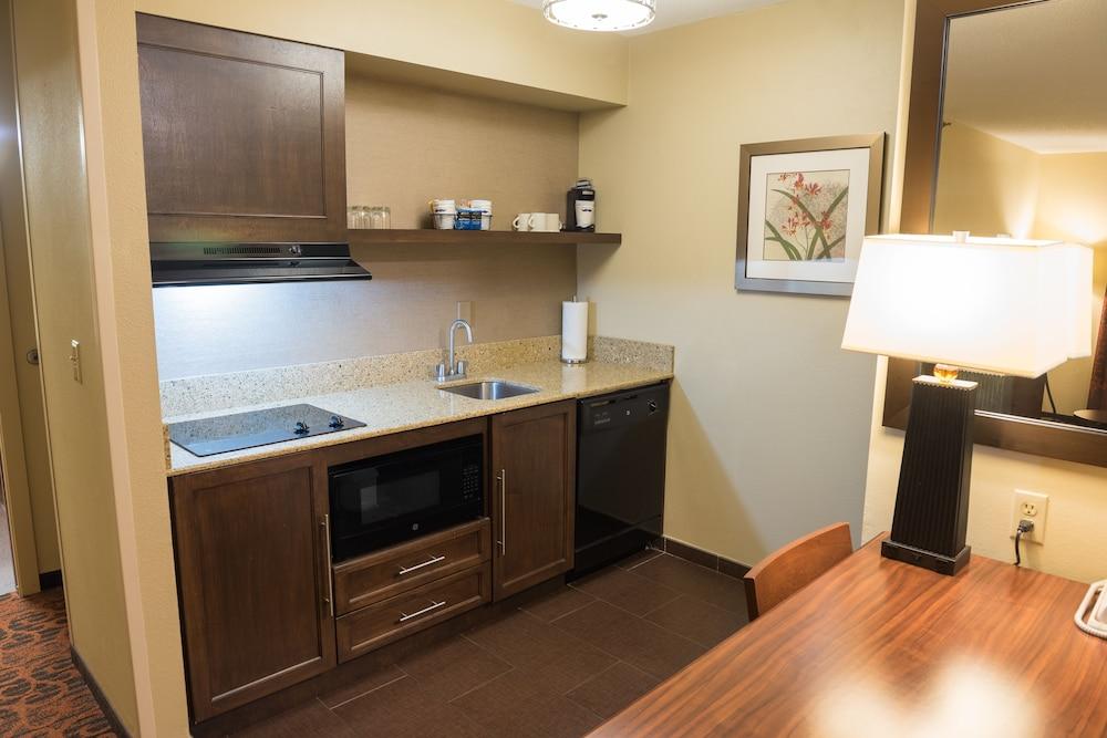 Hampton Inn & Suites Tampa-North Exterior photo