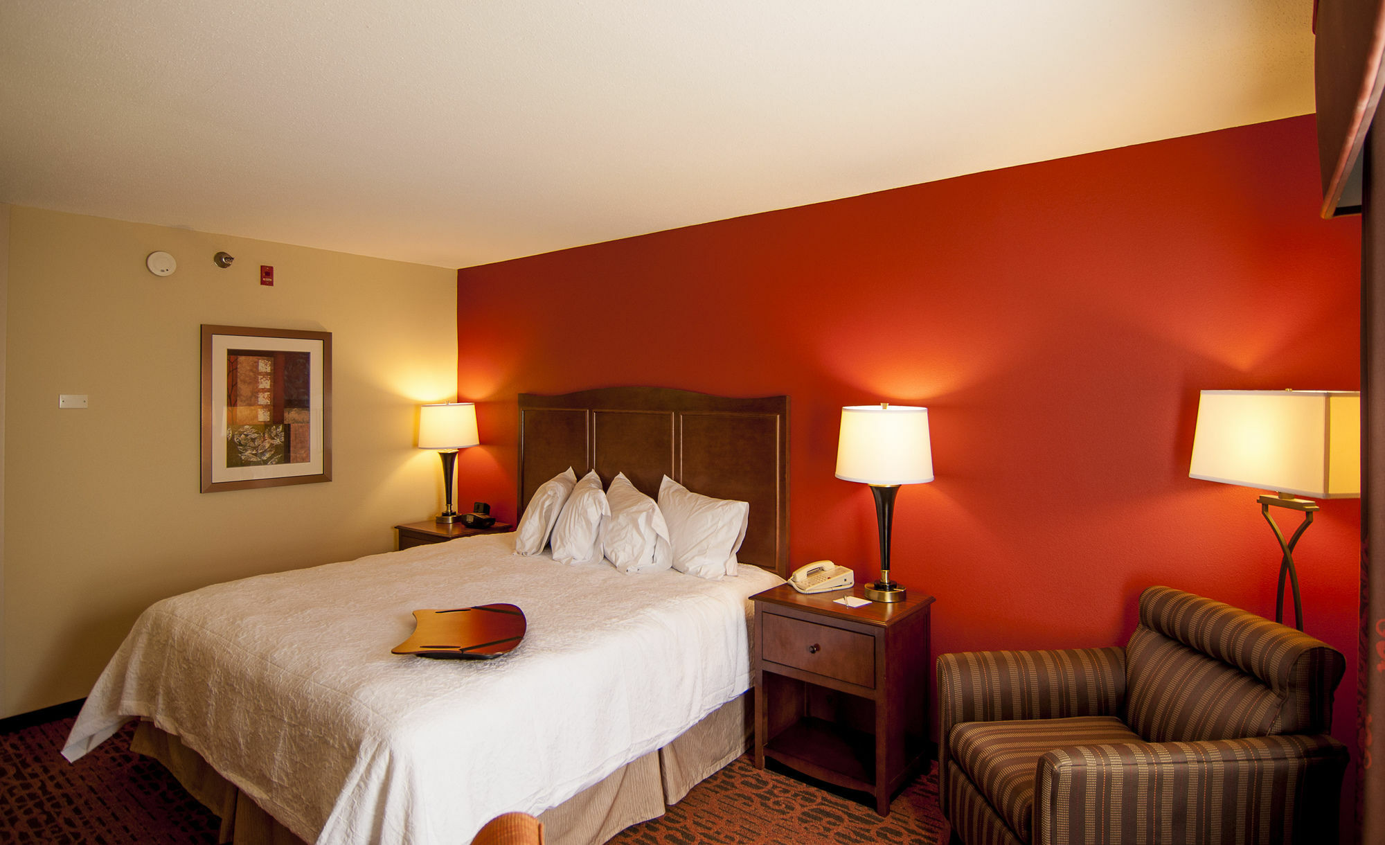 Hampton Inn & Suites Tampa-North Exterior photo